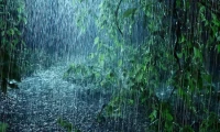 The 'Once-in-300-Years' Rain: What it reveals about our planet's future and our incredible resilience