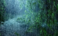 The 'Once-in-300-Years' Rain: What it reveals about our planet's future and our incredible resilience