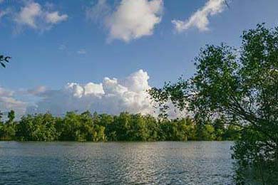 Tax: Reimagining Your 2025 Strategy for Property, Sales, and Income